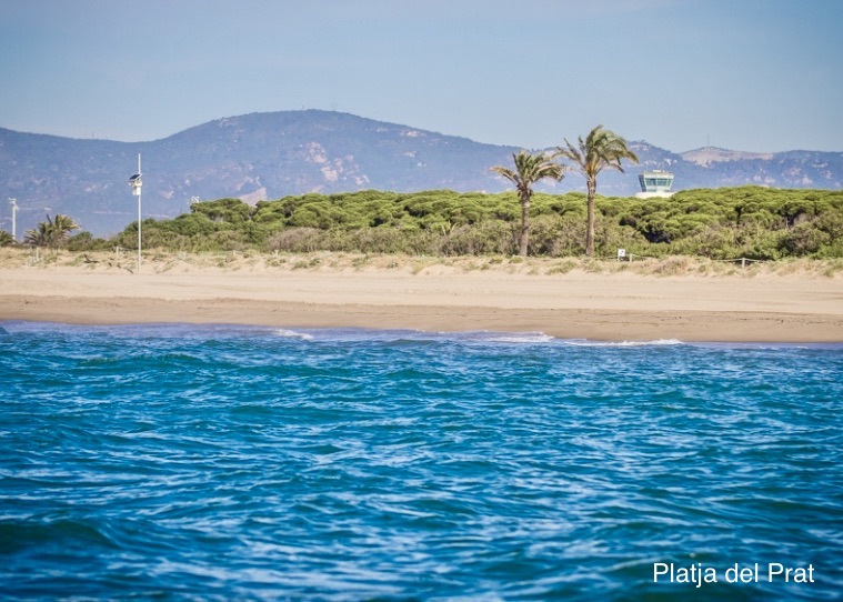 <p>Barcelona y sus localidades costeras cercanas ofrecen fantásticas opciones para los aficionados al naturismo. Desde la animada y accesible Playa de la Mar Bella hasta la serena y pintoresca Playa de l’Home Mort, hay playas nudistas para todos los gustos.</p>
