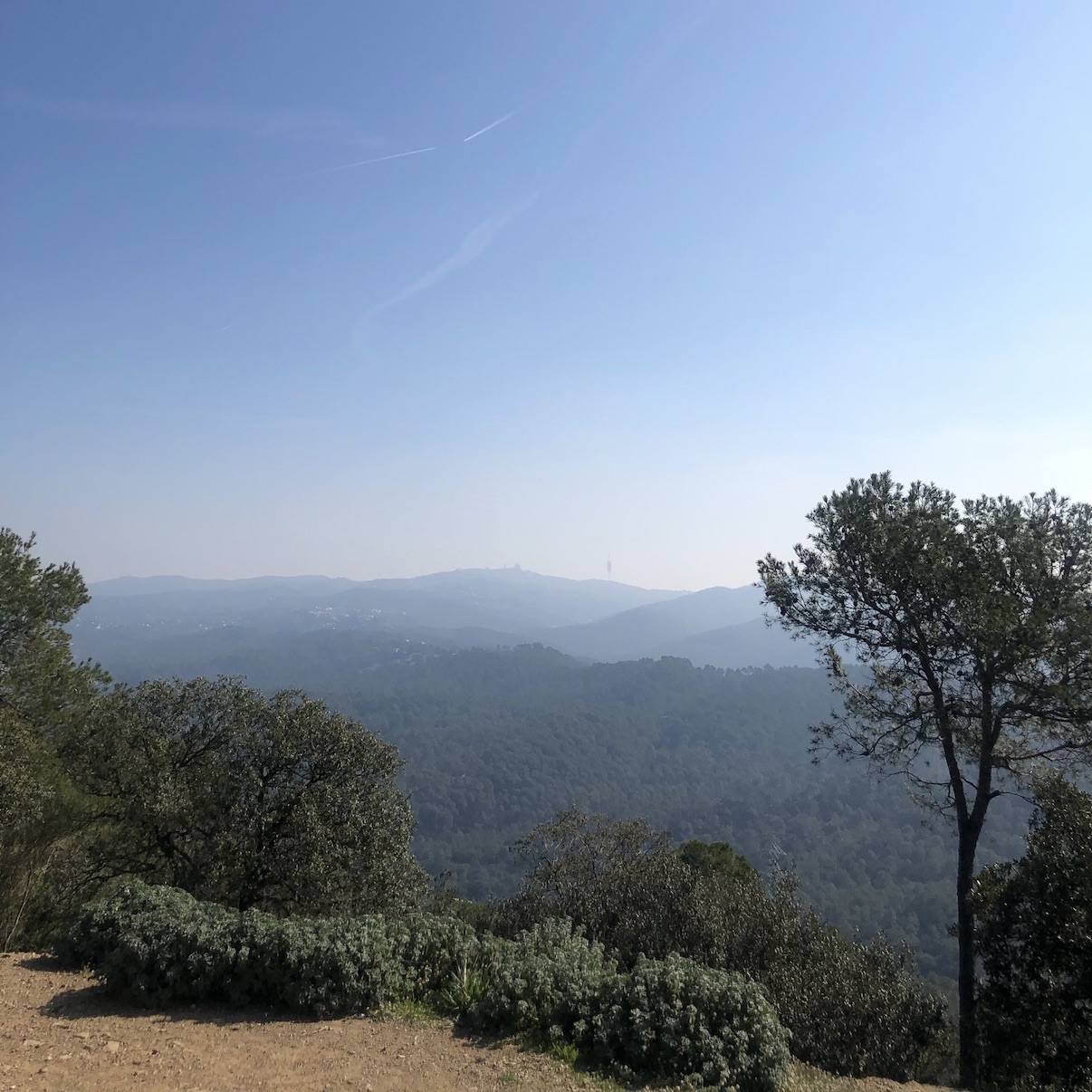 <p>Descubre la belleza natural que rodea Barcelona con nuestras recomendaciones de rutas de senderismo para esta primavera. Desde las vistas panorámicas del Parque Natural de Collserola hasta los paisajes impresionantes del Parque Natural del Montnegre i el Corredor, los alrededores de Barcelona tienen mucho que ofrecer a los amantes de la naturaleza.</p>
