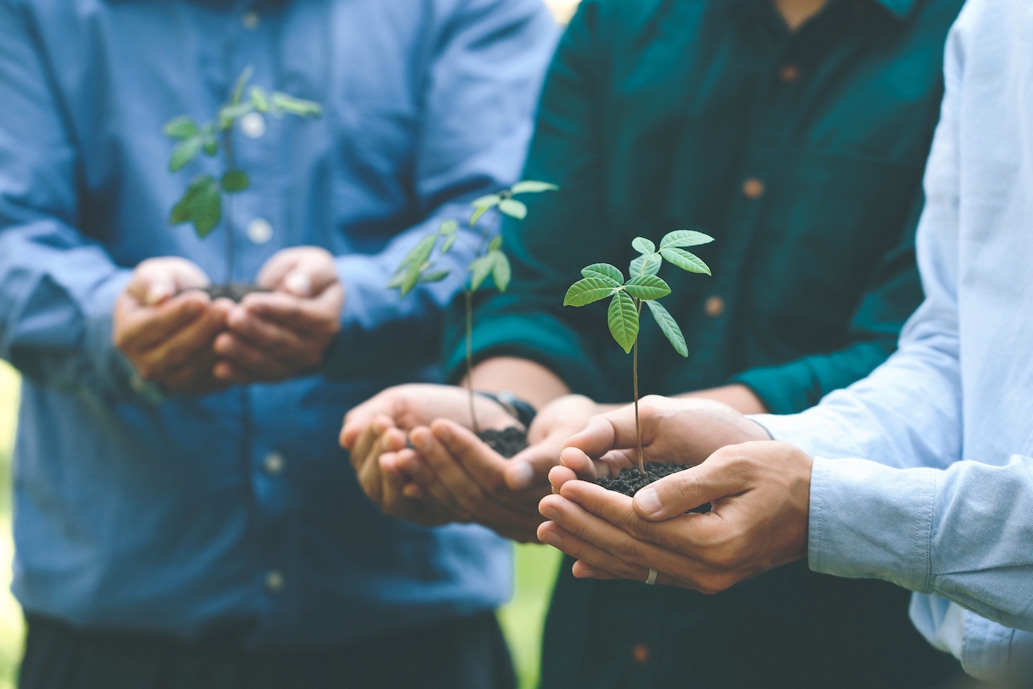 <p>Bonavista Apartments ha obtenido un año más la certificación de sostenibilidad Biosphere, concedida por el Instituto de Turismo Responsable, y que se engloba dentro del ‘Compromiso para la Sostenibilidad turística Destinación Barcelona Biosphere’, un programa que reconoce y promueve prácticas sostenibles en las empresas de la ciudad y la comarca.</p>
